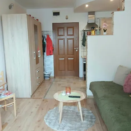 Apartment Przytulny Blisko Jeziora